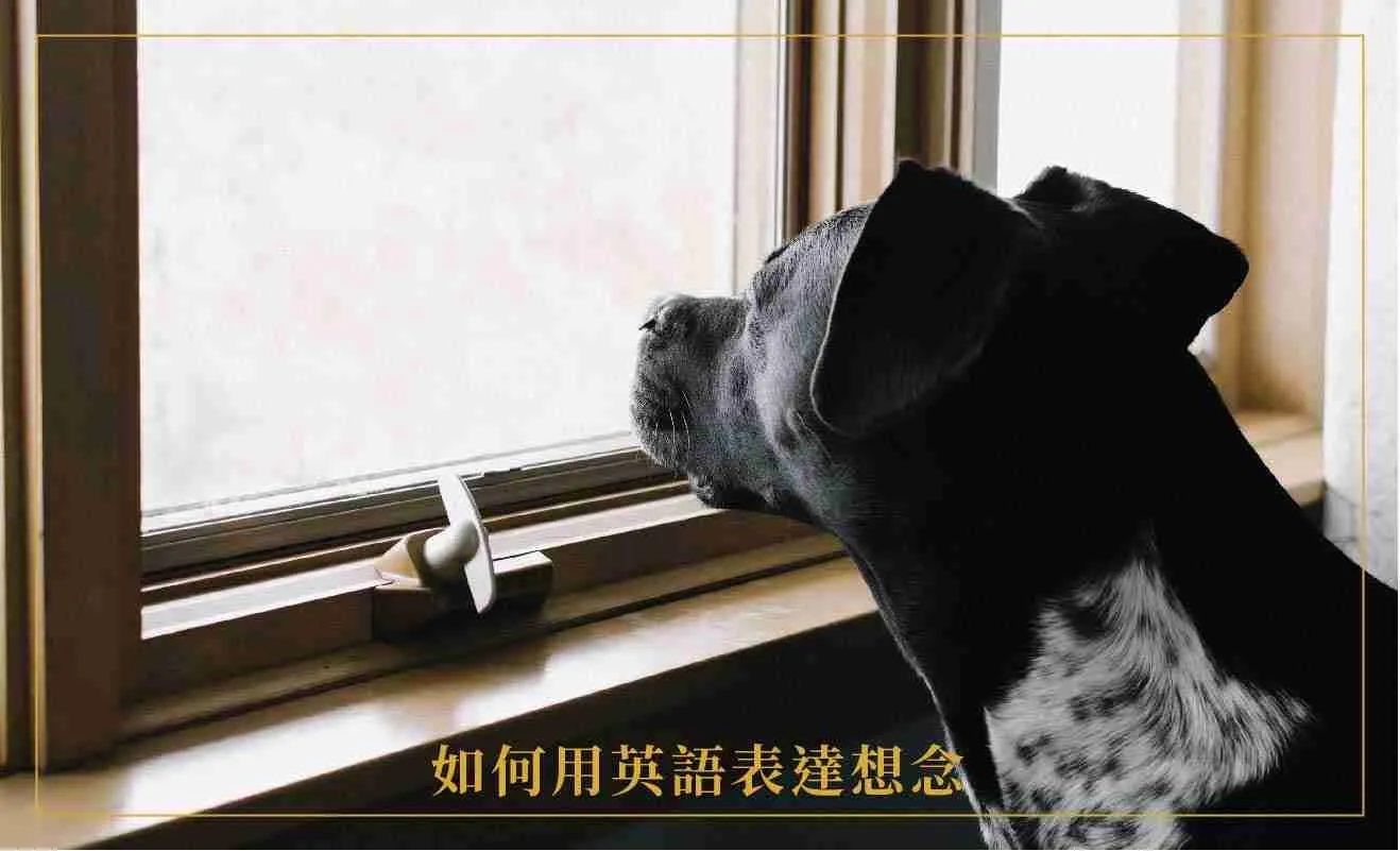 要如何用英文表示「想再次見到你」呢?介紹各種「想見你」的表現!