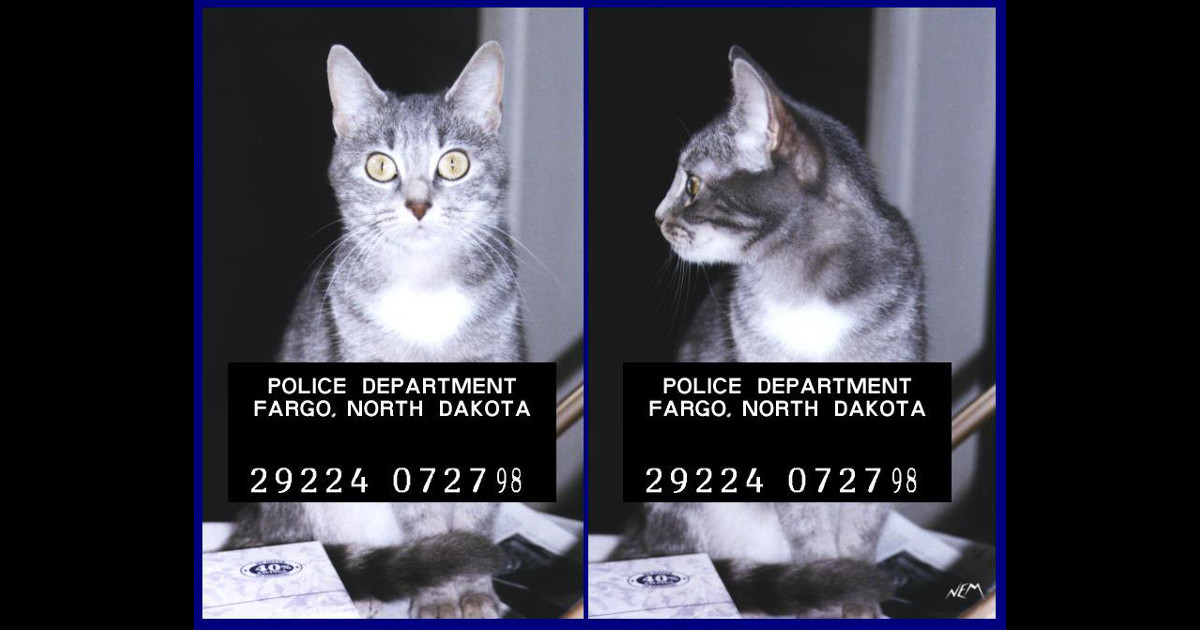 「治安」的英語怎麼說？一起學習相關的英語表達吧！