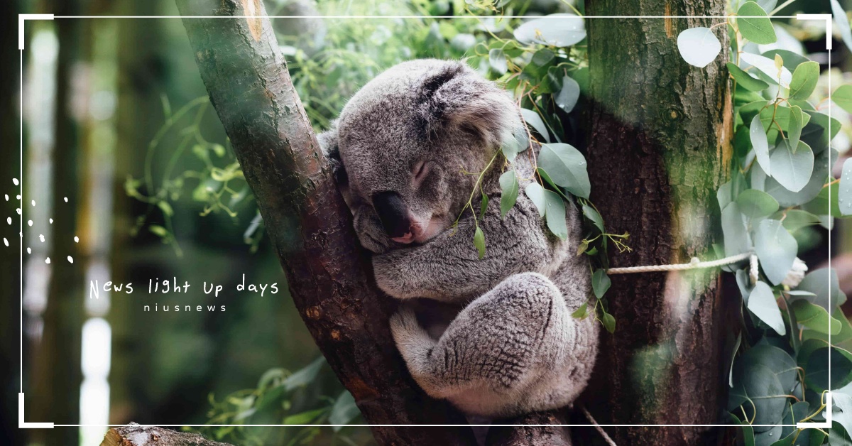 放完長假，準備「開工」的英文要怎麼說？