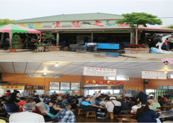 「生態」的英文怎麼說？介紹「生態」的英文表達♪