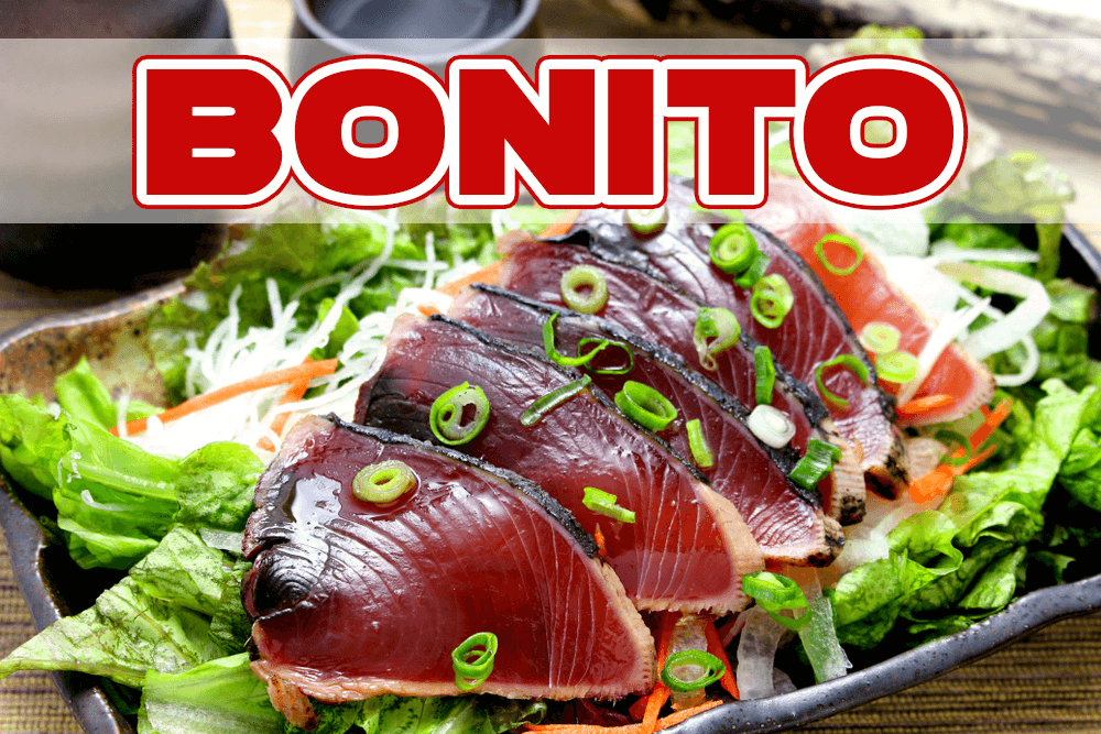 鮮爲人知的「鰹魚」英語表達方式為何？一併介紹鰹魚與鮪魚間的差異、以及鰹魚乾的英語表達方式！