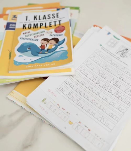 孩子在Lingoda學德語效果如何?家長分享上課體驗與心得感受