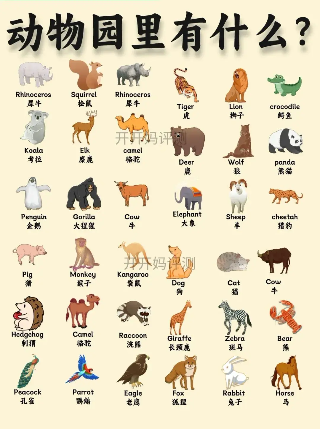 用英語參觀動物園!有趣的動物英語和小知識