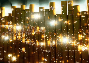 「聚集」、「收集」的英文怎麼說？