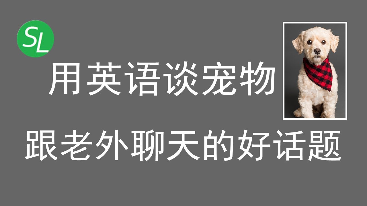 與寵物相關的英語表達，你能用英語說寵物的話題嗎？