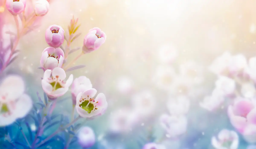 跟春天有關的英文諺語集錦!還有春天的慣用語和詞彙!