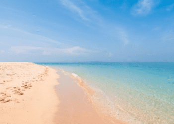 夏天來了！我們去海邊吧！「海岸」的英文該怎麼說？關於海岸的英語表達方式