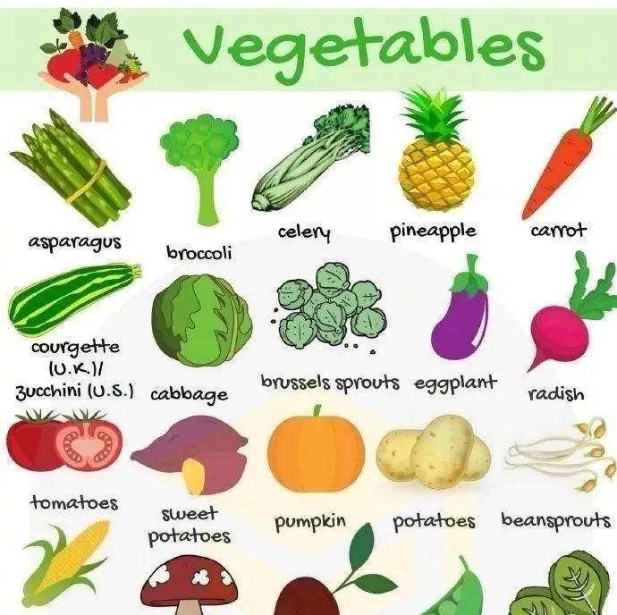 用英文介紹台灣的蔬菜吧！夏季蔬菜篇