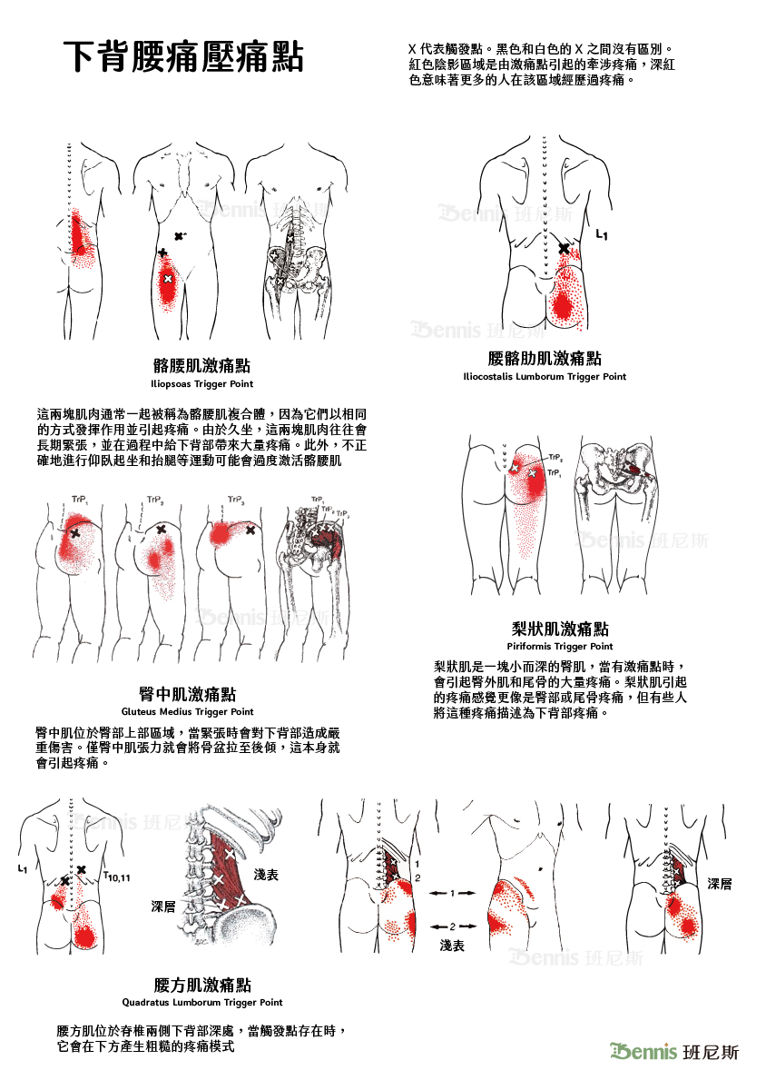 突然「閃到腰」用英文怎麼說?一併介紹其他與腰相關的英文!