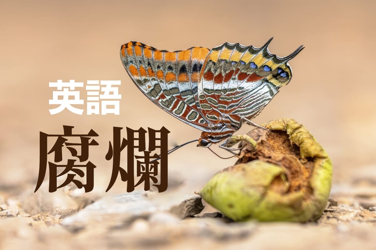 【你知道嗎? 】「有效的」用英語怎麼說?