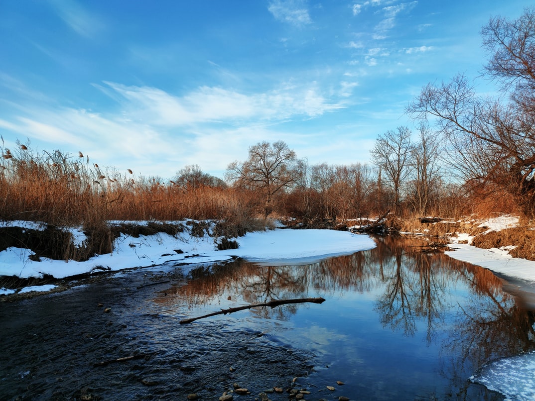 「例如」用英語怎麼說？for example 以外的表達方法！