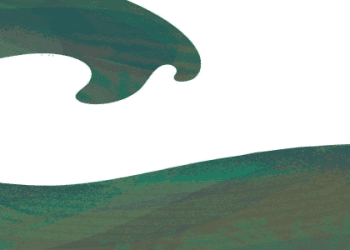 水黽的英文怎麼說？了解它們的棲息地和名字由來！