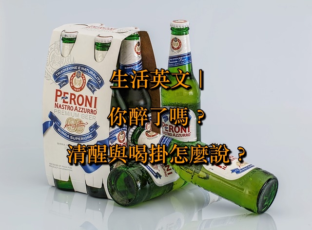 「感受到酒意」英文怎麼說呢？各種和酒醉有關的表達方式