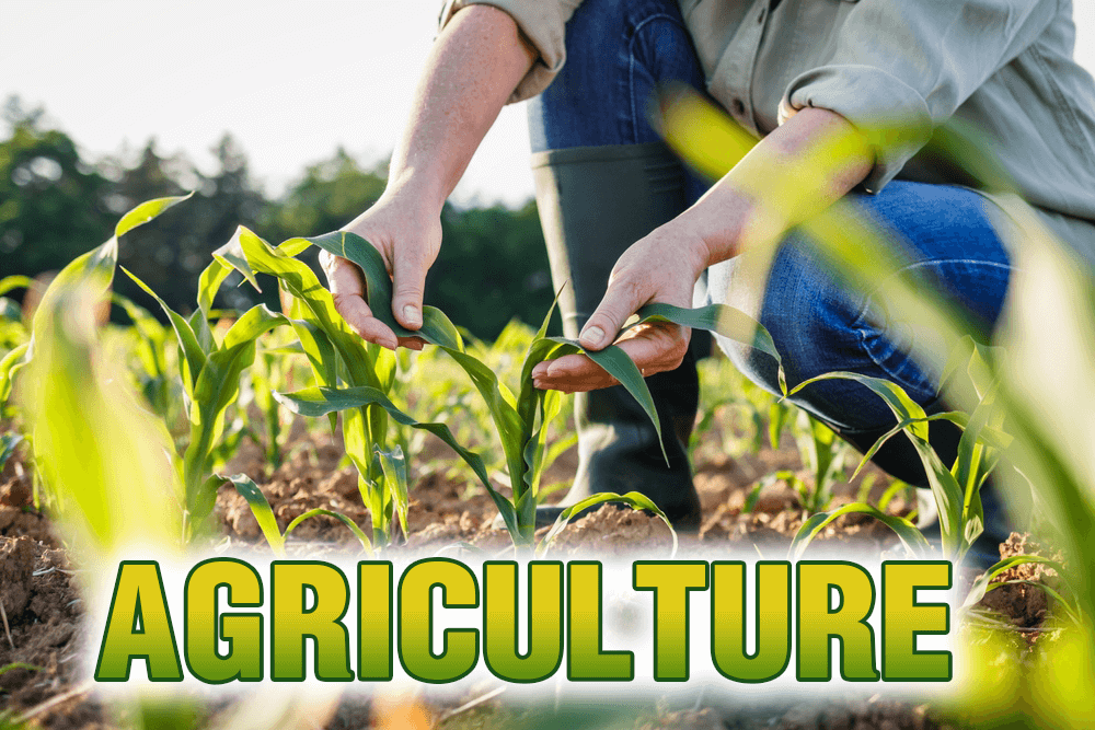 「農業」用英語怎麼解說？也一同介紹專業用語等相關短語！