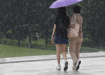 下雨下到東西都「發霉」了！來看英文怎麼說！