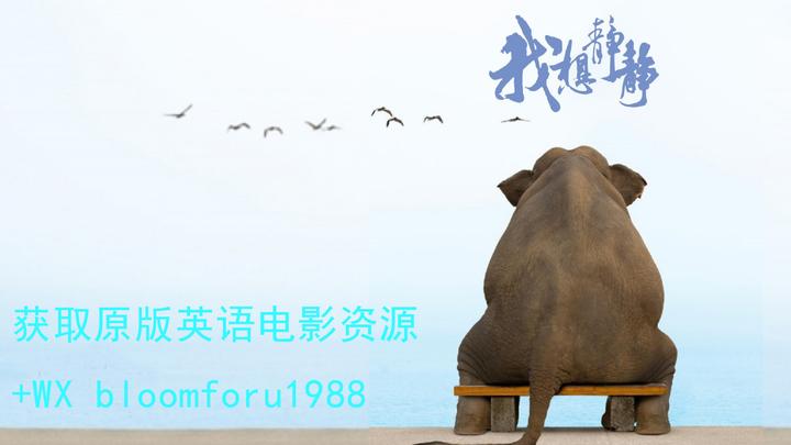 想要獨處時的「別管我、讓我靜一靜」英語表達方式為何？