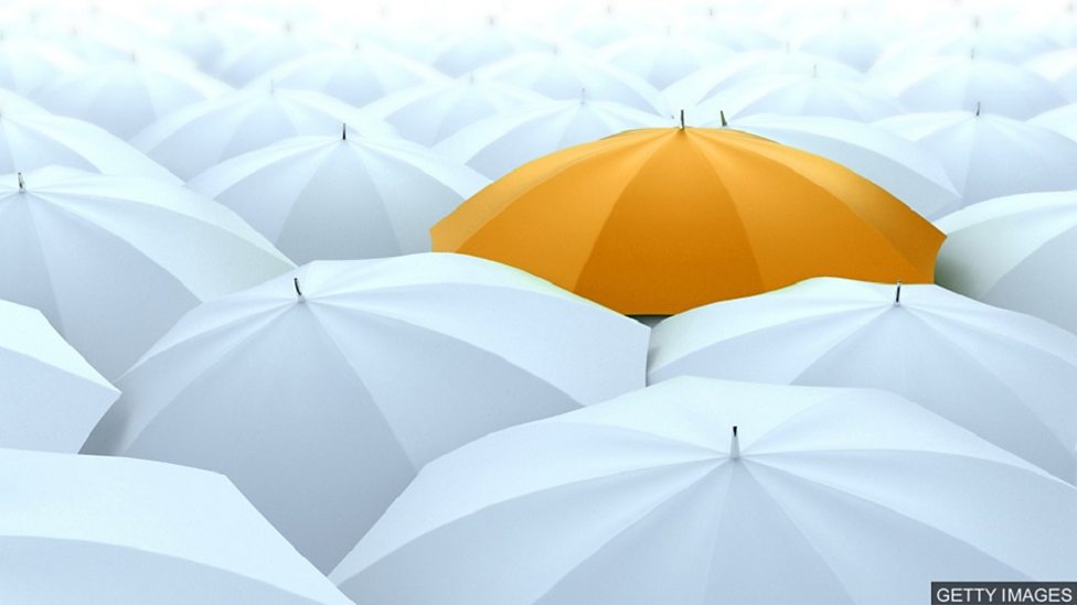 除了check以外還有很多種表達方式！介紹「調查」的英語表達！