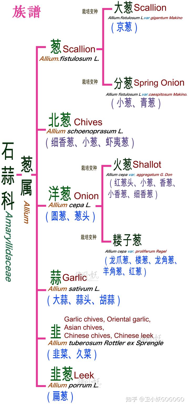 餐桌上不可或缺的幾種「醬汁」的英文該怎麼說?