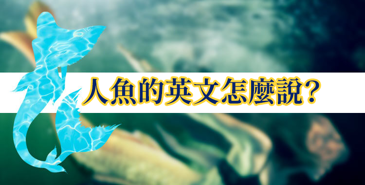人魚的英文怎麼說? 順便也來看看國外那些關於人魚的傳說吧!