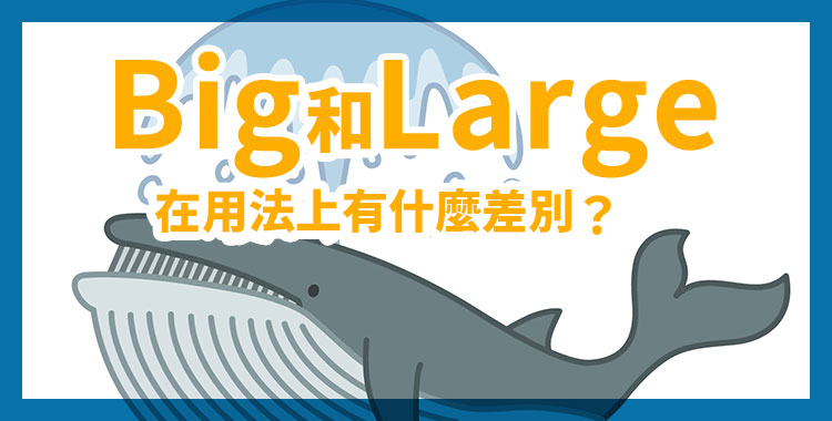 你知道「wide」和「large」有什麼差異嗎?介紹八個「寬廣」的代表性單字用法