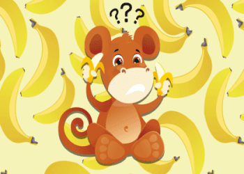 讓我們學習跟水果相關的慣用語和俚語吧！