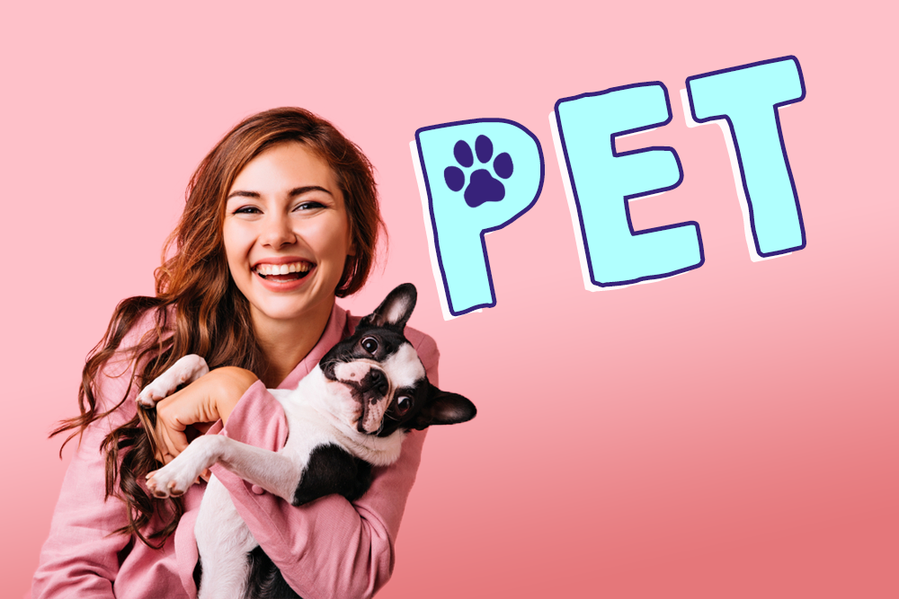 與寵物相關的英語表達，你能用英語說寵物的話題嗎？