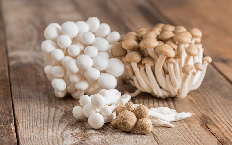 「菇類」的英文怎麼說？香菇、金針菇、鴻禧菇等，各種菇類英文說法介紹！