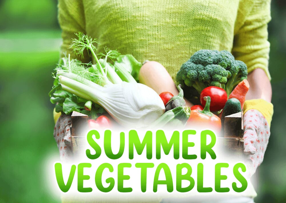 用英文介紹台灣的蔬菜吧！夏季蔬菜篇