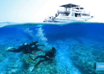 「浮潛」的英文怎麼說？各種水上活動名稱介紹