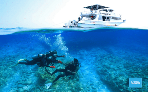 「浮潛」的英文怎麼說?各種水上活動名稱介紹