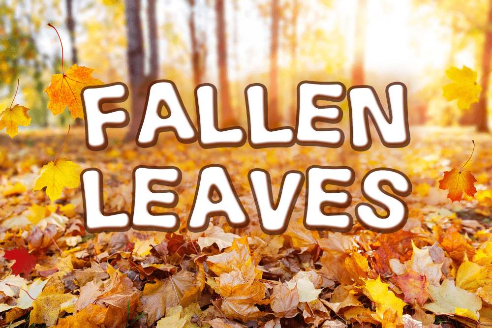 「落葉」用英語怎麼說?一起介紹落葉樹的枯葉和楓葉的英語表達!