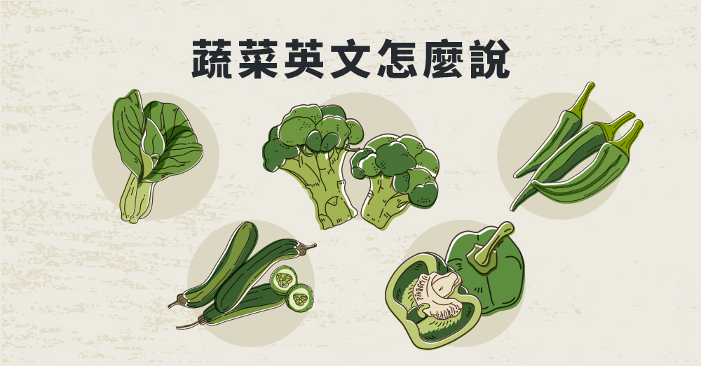 用英文介紹台灣的蔬菜吧！夏季蔬菜篇