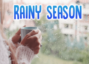 要如何用英語解說「颱風」？