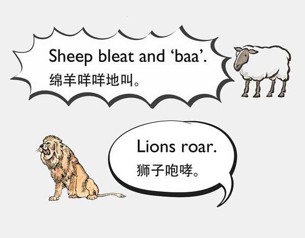 英文音效特輯!動物的聲音有哪些擬聲詞?