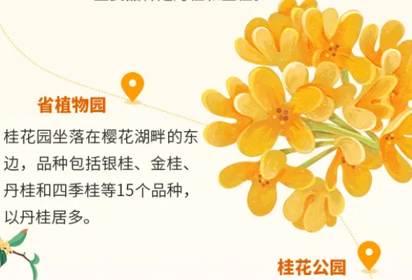 象徵秋天到來的「桂花」用英語怎麼說？加碼介紹各種花的說法！