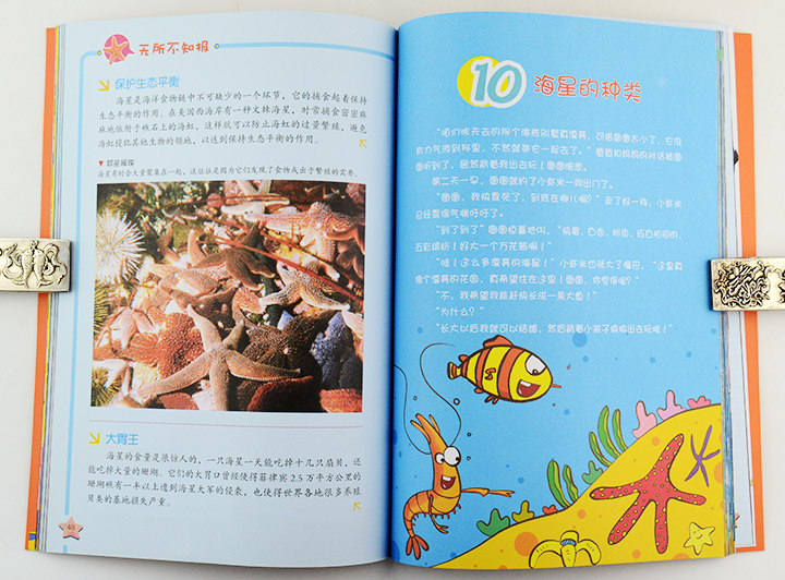 水黽的英文怎麼說?了解它們的棲息地和名字由來!