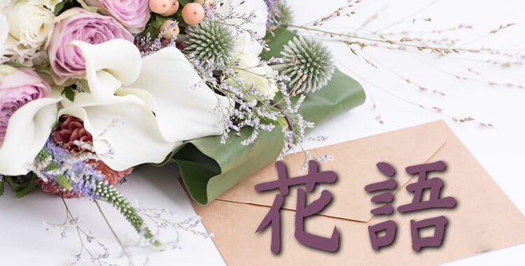 想送花給心儀對象嗎？快來學學各種花的英文花語吧！