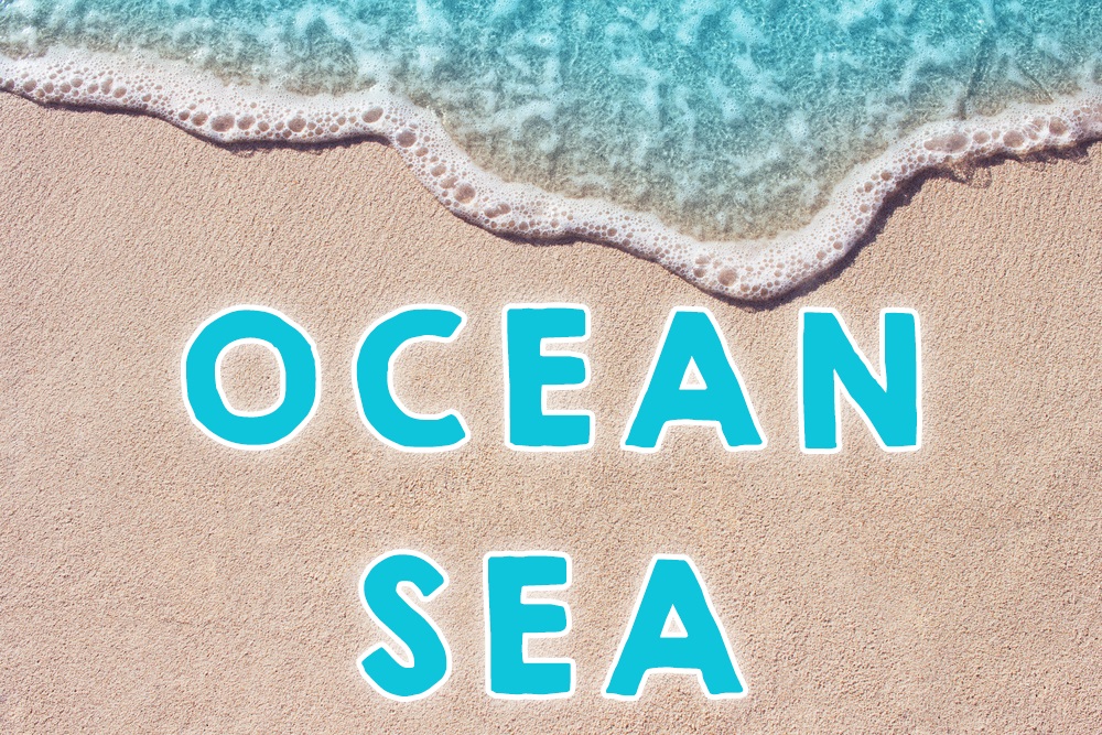 在海邊會用到的各種英文說法！