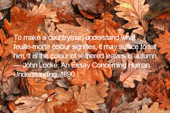 「落葉」用英語怎麼說?一起介紹落葉樹的枯葉和楓葉的英語表達!