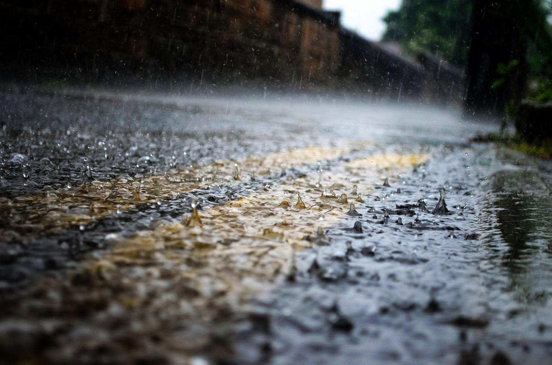 下雨下到東西都「發霉」了!來看英文怎麼說!
