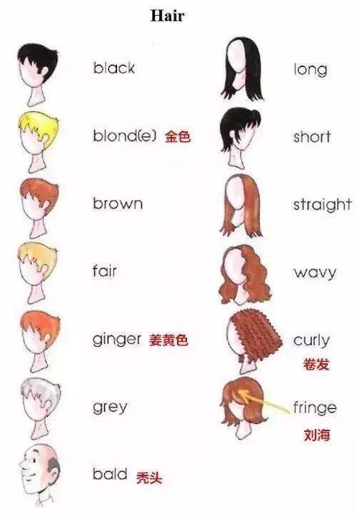 髮型的英文表達一覽！介紹可以在髮廊或跟朋友交談時的短語！