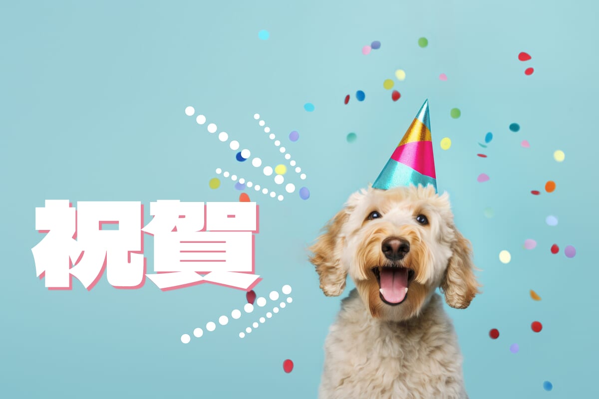非常適合父親節!這裡有一些您可以用來慶祝的英語短語!