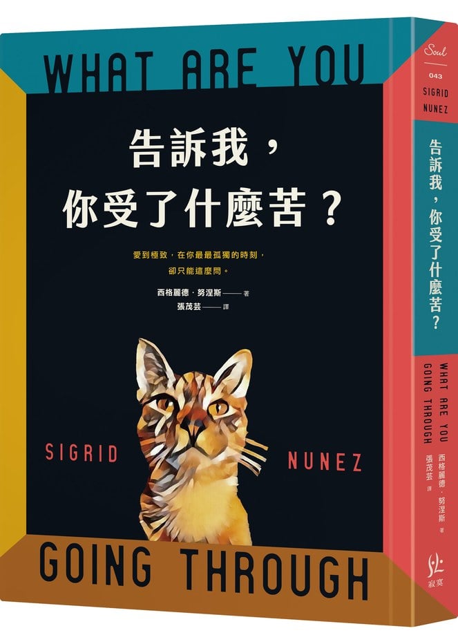 「兒時玩伴」用英語怎麼說？還有摯友或老友的說法！