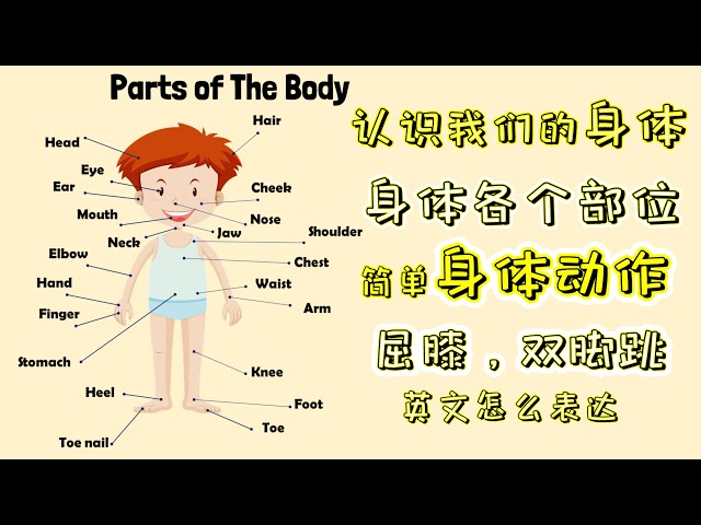 身體部位用英語怎麼說？不知道的單字竟意外的多！