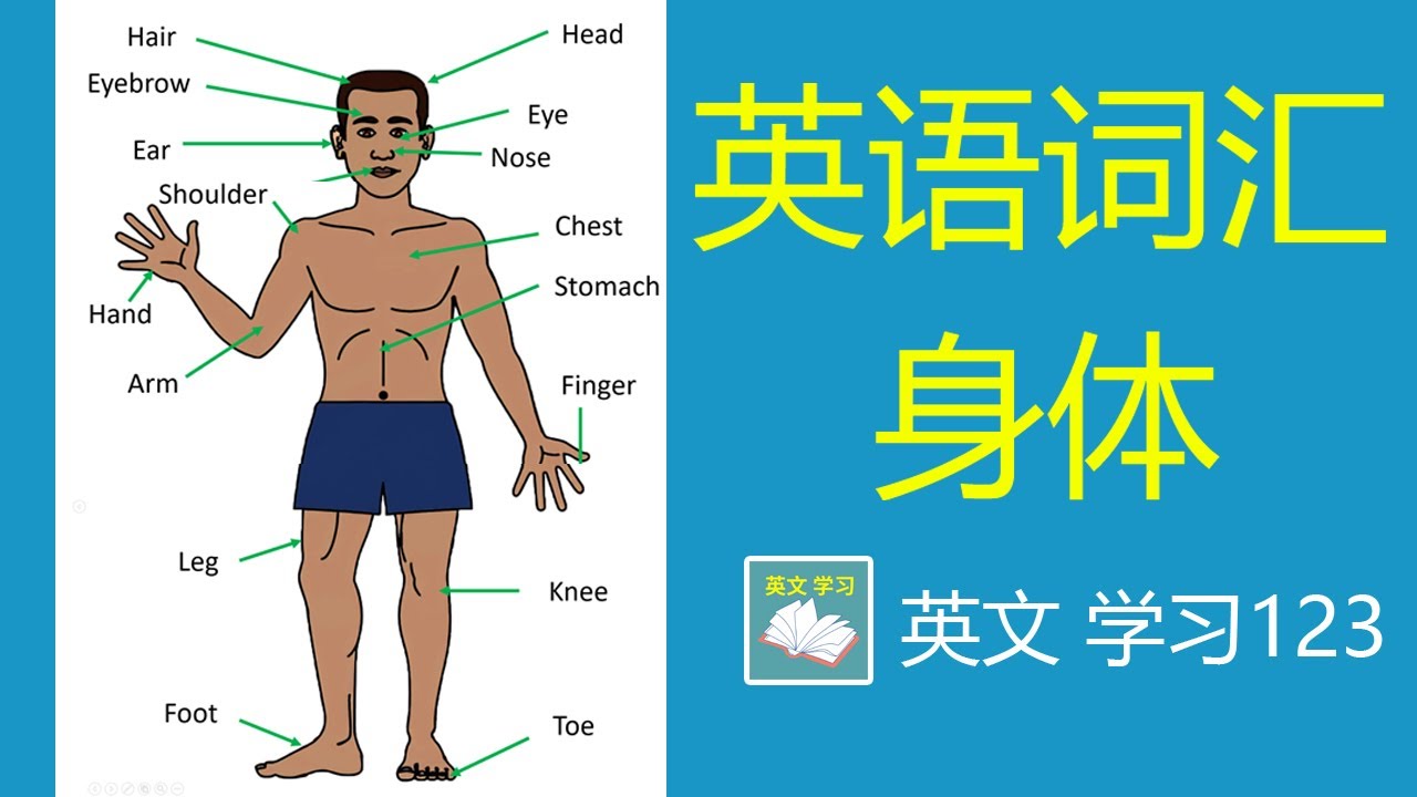 身體部位用英語怎麼說？不知道的單字竟意外的多！