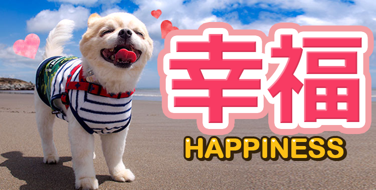 一起來學習跟「幸福」相關的英語表達吧！