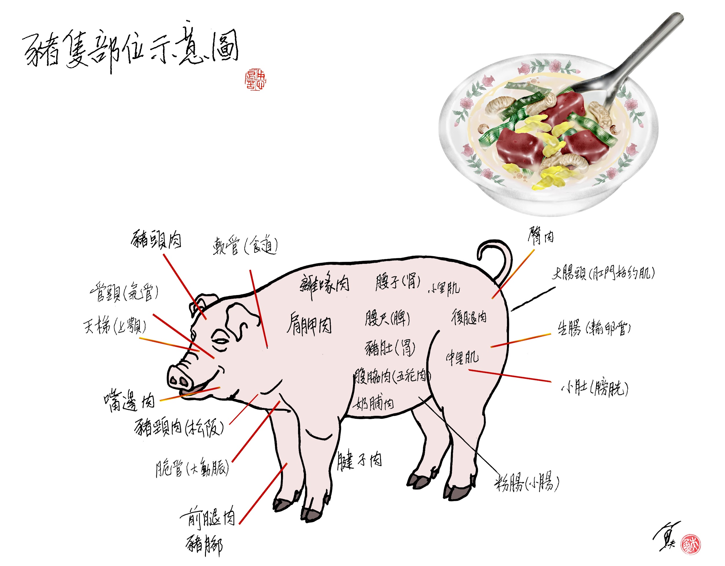「不同部位的肉品名稱」怎麼說？還有各種點餐說法一次教給你！