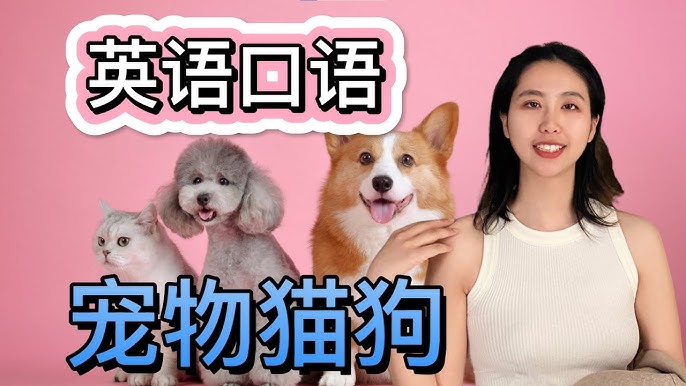 與寵物相關的英語表達，你能用英語說寵物的話題嗎？