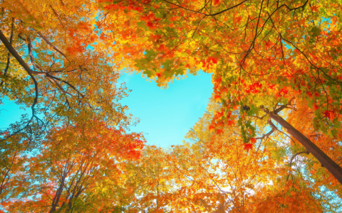 跟「秘密」相關的各種英語表達!