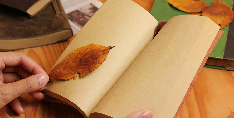 讓我們一起欣賞偉人留下的英語佳句和名言！